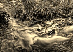 Szary + Sepia