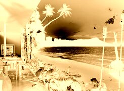 Sepia + Negatyw