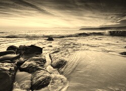 Szary + Sepia