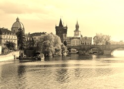 Szary + Sepia