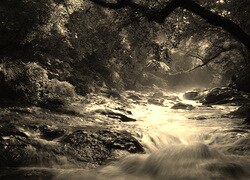 Szary + Sepia