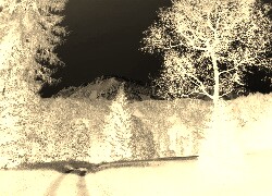 Sepia + Negatyw