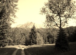 Sepia