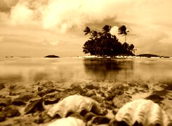 Sepia
