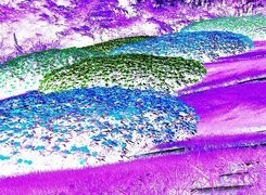 Negatyw
