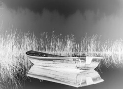 Szary + Negatyw