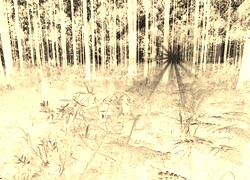 Sepia + Negatyw