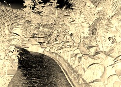 Sepia + Negatyw