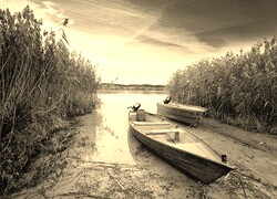 Szary + Sepia