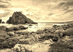 Sepia