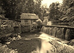 Szary + Sepia