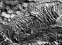 Skamielina