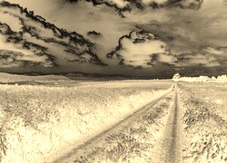Sepia + Negatyw