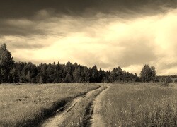 Szary + Sepia