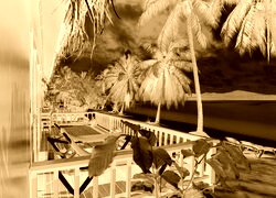 Sepia + Negatyw