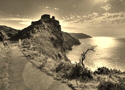 Szary + Sepia