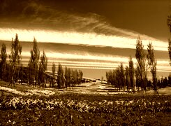 Sepia
