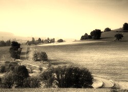 Szary + Sepia