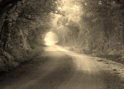 Szary + Sepia