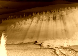 Sepia + Negatyw