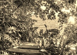 Szary + Sepia