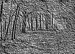 Skamielina