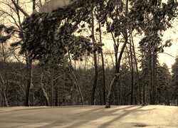 Szary + Sepia