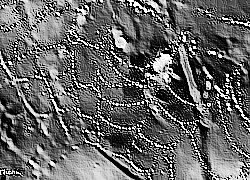 Skamielina