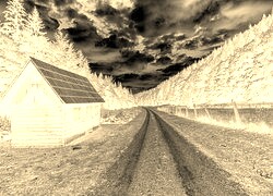 Sepia + Negatyw