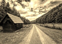 Szary + Sepia