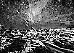 Skamielina