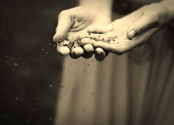 Szary + Sepia