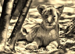Sepia