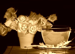 Sepia + Negatyw