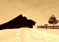 Sepia
