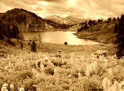 Sepia