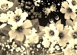 Szary + Sepia