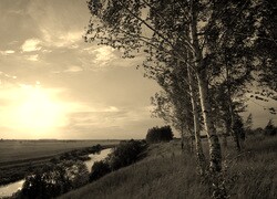 Szary + Sepia