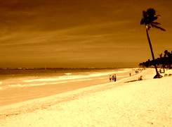 Sepia