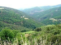 Oryginalny obrazek