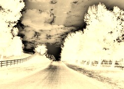 Sepia + Negatyw