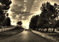 Sepia