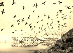 Sepia