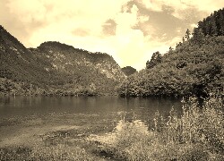 Szary + Sepia