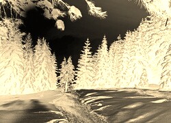 Sepia + Negatyw