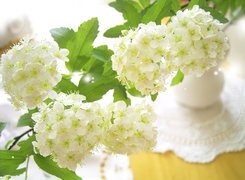 Oryginalny obrazek