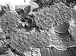 Skamielina