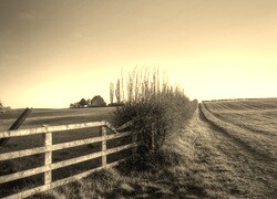 Szary + Sepia