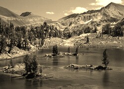 Szary + Sepia