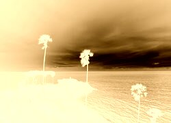 Sepia + Negatyw